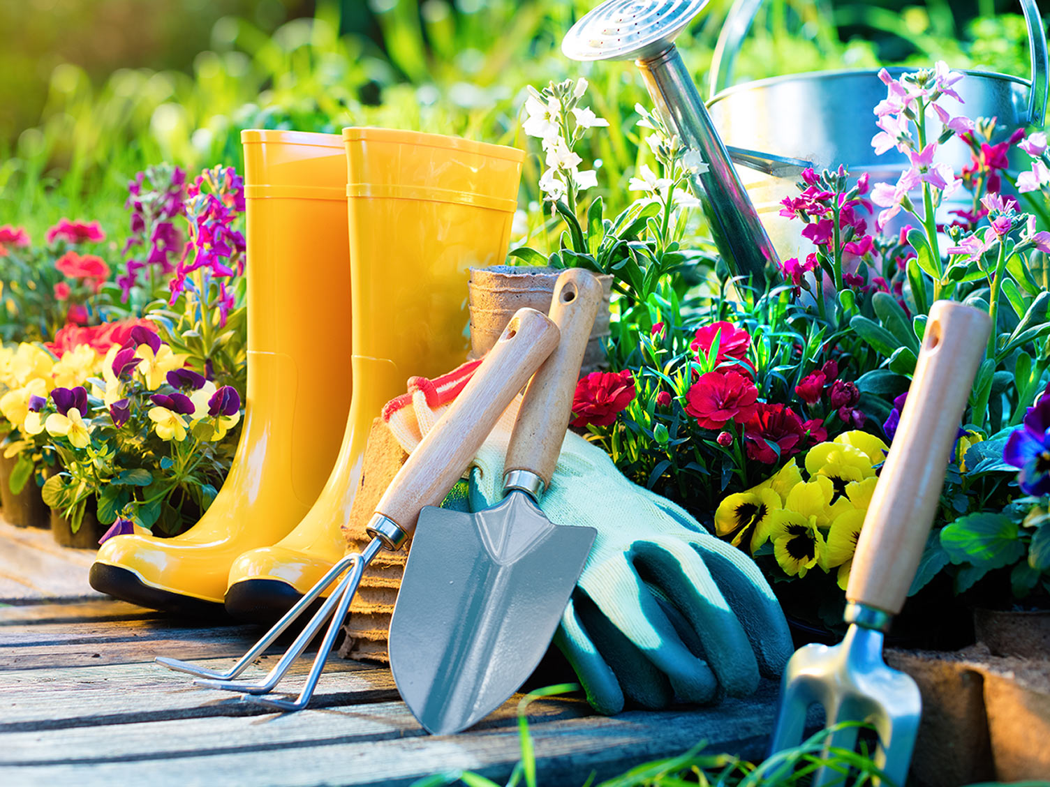 How to get the garden ready for Autumn
